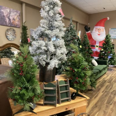 The holidays are fast approaching.  Stop in and shop our trees and decor!!